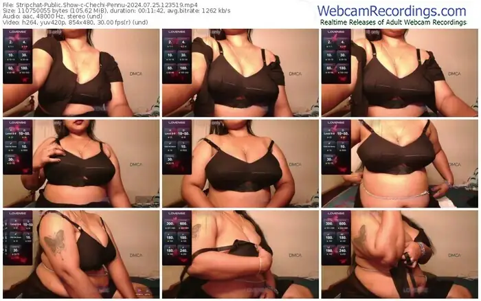 2024/07/25/stripchat-chechi-pennu-12-35-19