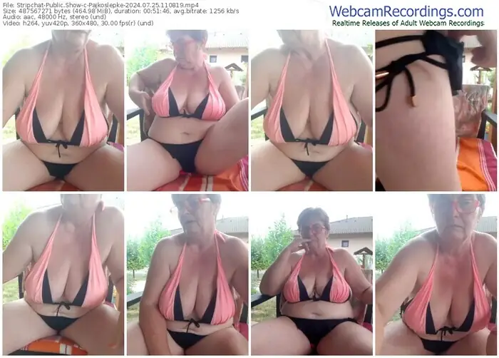 2024/07/25/stripchat-pajkoslepke-11-08-19