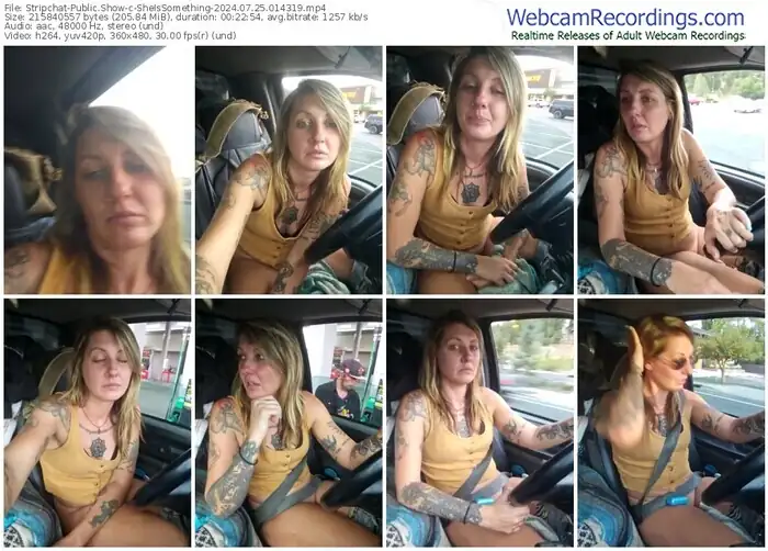 2024/07/25/stripchat-sheissomething-01-43-19