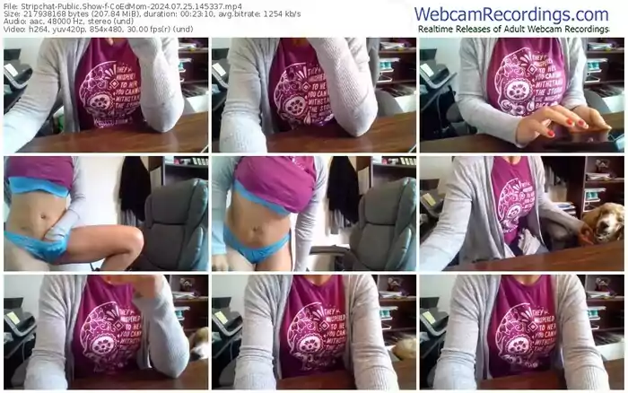 2024/07/25/stripchat-coedmom-14-53-37