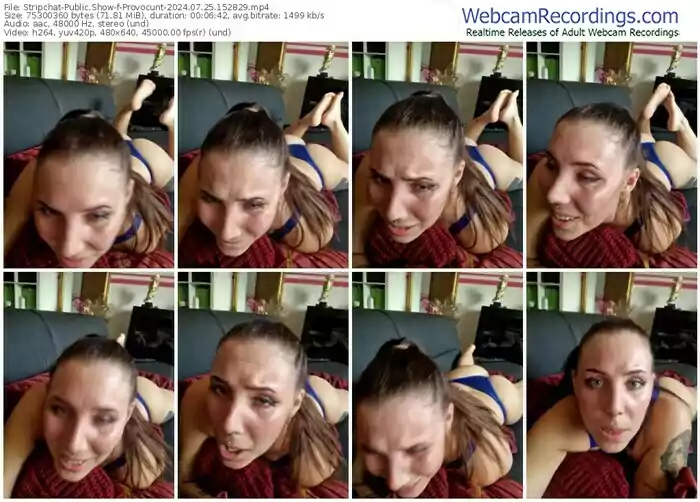 2024/07/25/stripchat-provocunt-15-28-29