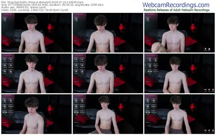 2024/07/25/stripchat-banesoll-13-09-35