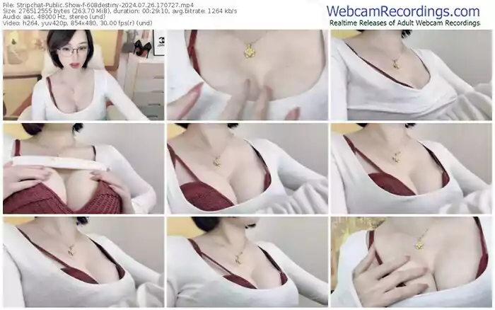 2024/07/26/stripchat-608destiny-17-07-27
