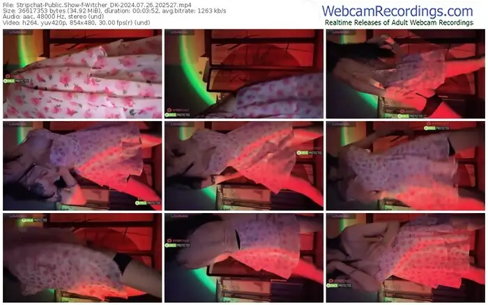 2024/07/26/stripchat-witcher_dk-20-25-27