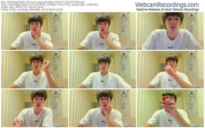 2024/07/26/stripchat-gaygamogey-20-37-46