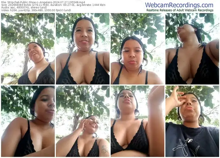 2024/07/27/stripchat--angeless-19-55-48