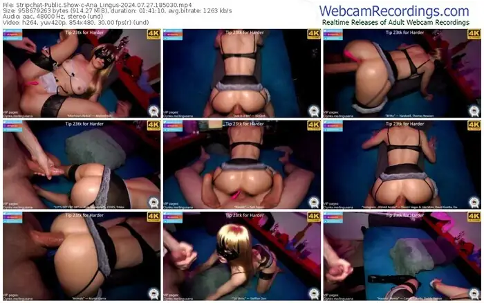 2024/07/27/stripchat-ana_lingus-18-50-30