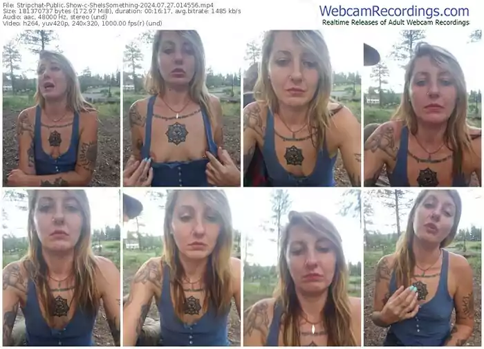 2024/07/27/stripchat-sheissomething-01-45-56