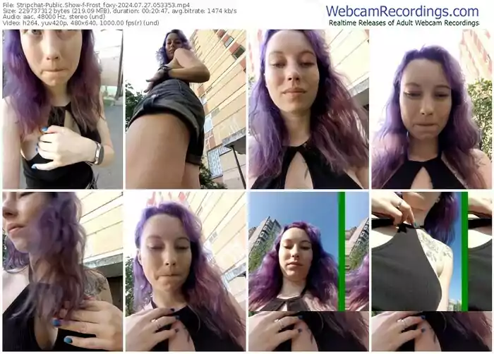 2024/07/27/stripchat-frost_foxy-05-33-53