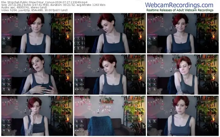 2024/07/27/stripchat-your_corvus-13-32-49