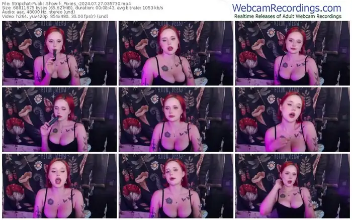 2024/07/27/stripchat-_pixies_-03-57-30