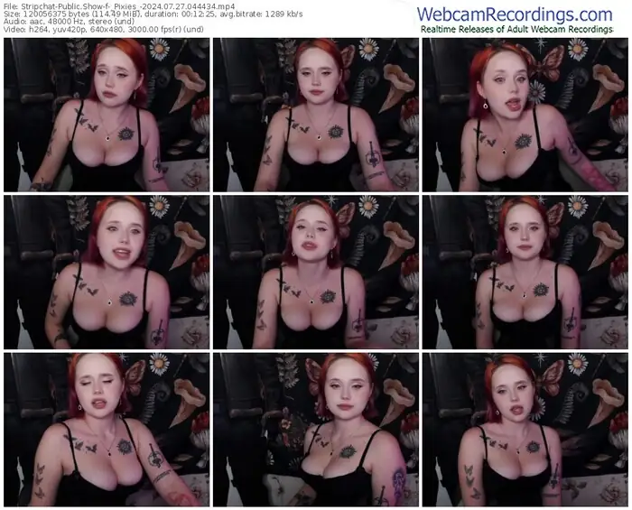 2024/07/27/stripchat-_pixies_-04-44-34