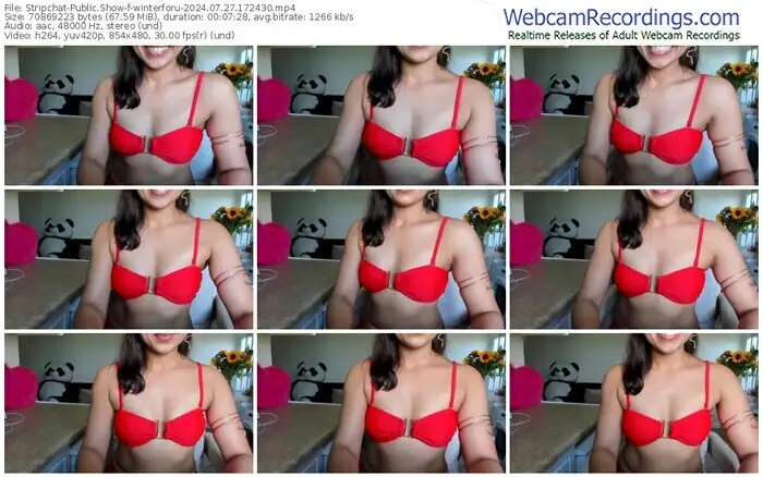 2024/07/27/stripchat-winterforu-17-24-30