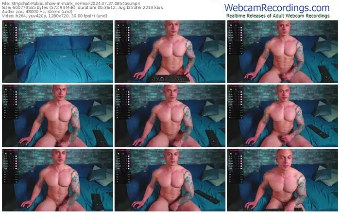 2024/07/27/stripchat-mark_normal-08-54-56