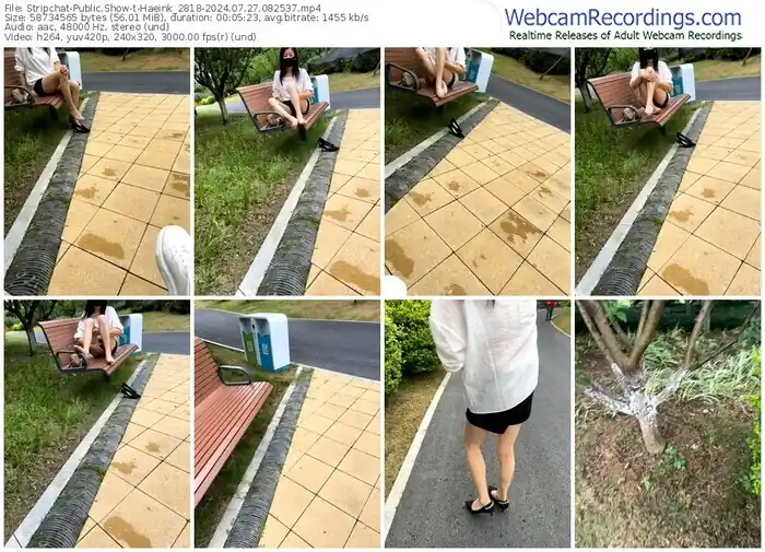 2024/07/27/stripchat-haeink_2818-08-25-37