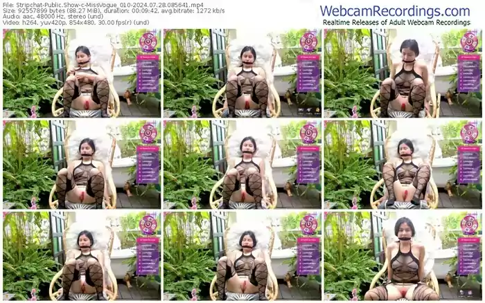 2024/07/28/stripchat-missvogue_010-08-56-41