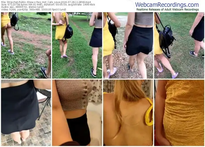 2024/07/28/stripchat-two_hot_cats_love-11-28-58