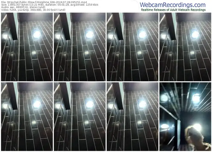 2024/07/28/stripchat-morphine_666-09-51-51