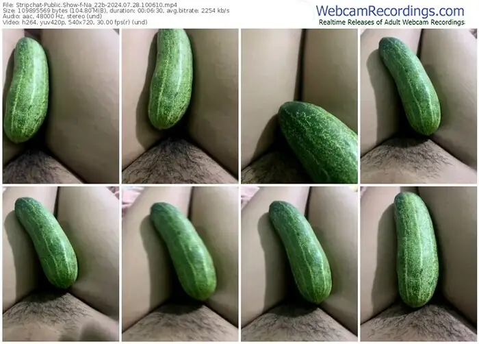 2024/07/28/stripchat-na_22b-10-06-10