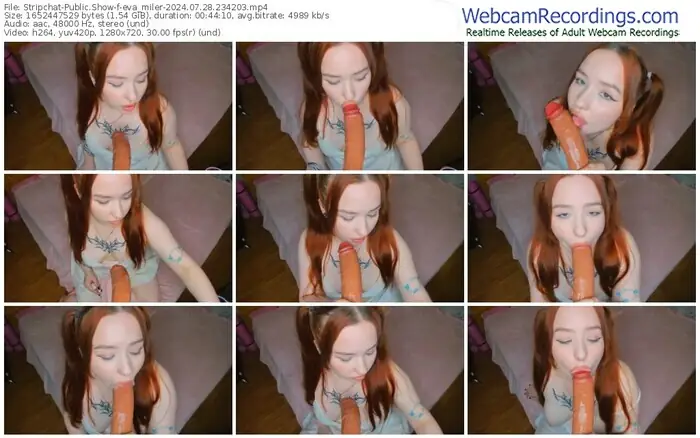 2024/07/28/stripchat-eva_miler-23-42-03