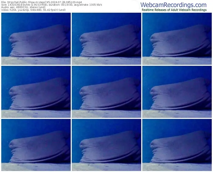 2024/07/28/stripchat-vago745-08-51-03