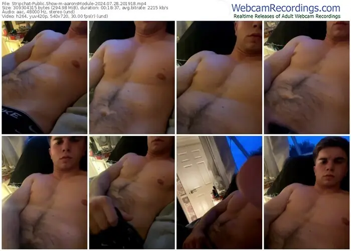 2024/07/28/stripchat-aaronsmodule-20-19-18