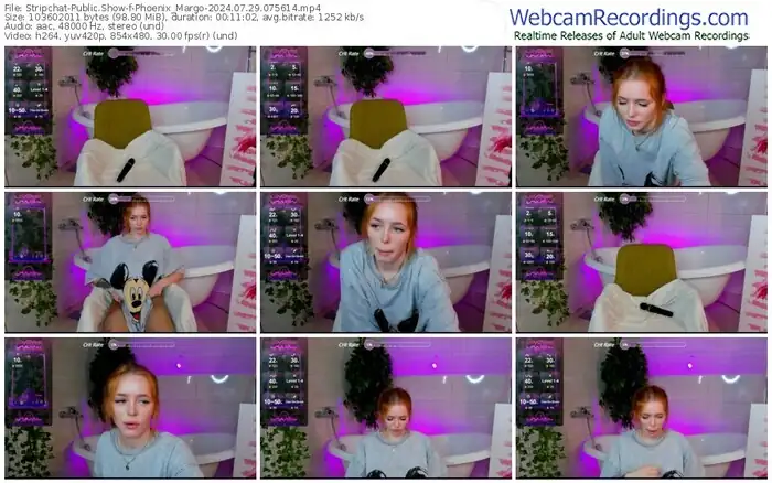2024/07/29/stripchat-phoenix_margo-07-56-14