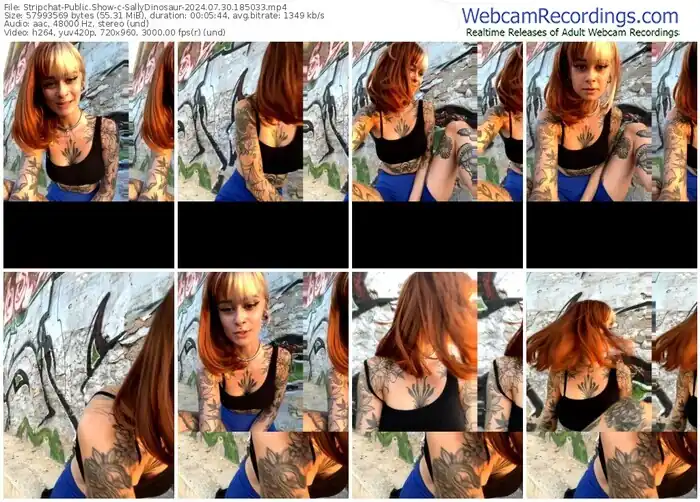 2024/07/30/stripchat-sallydinosaur-18-50-33