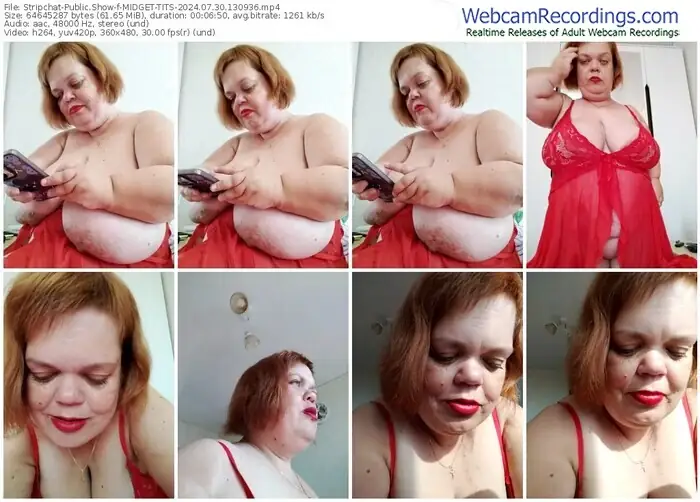 2024/07/30/stripchat-midget-tits-13-09-36