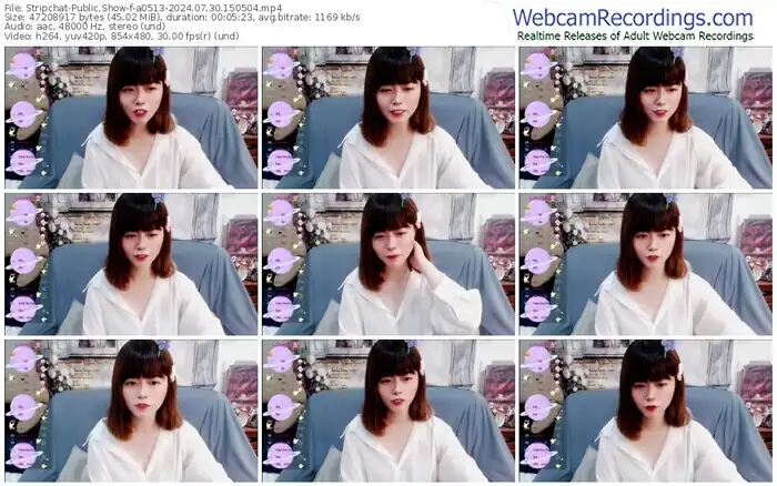 2024/07/30/stripchat-a0513-15-05-04