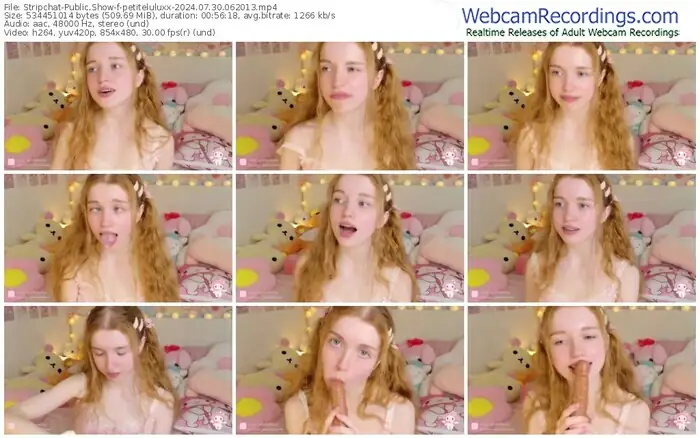 2024/07/30/stripchat-petiteluluxx-06-20-13