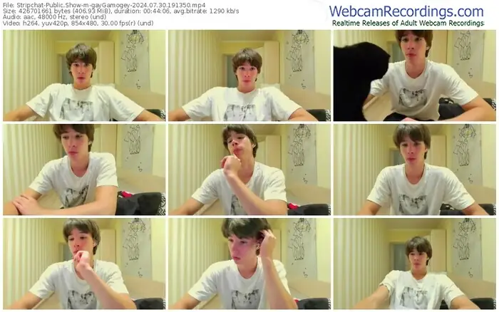 2024/07/30/stripchat-gaygamogey-19-13-50