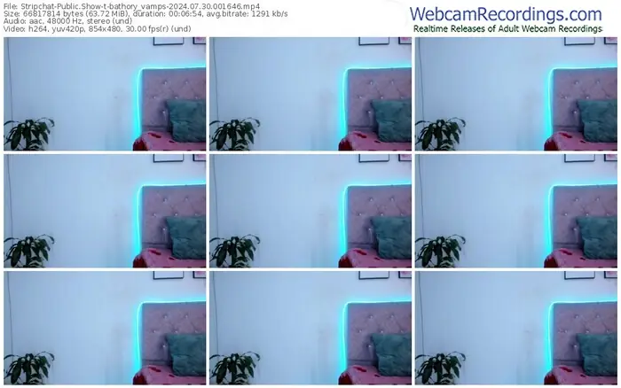 2024/07/30/stripchat-bathory_vamps-00-16-46