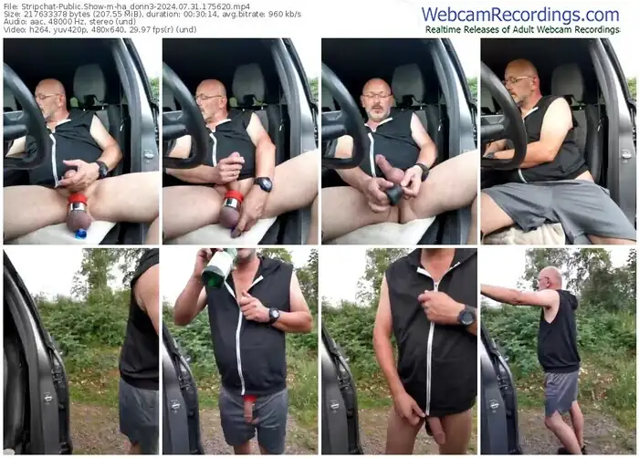 2024/07/31/stripchat-ha_donn3-17-56-20
