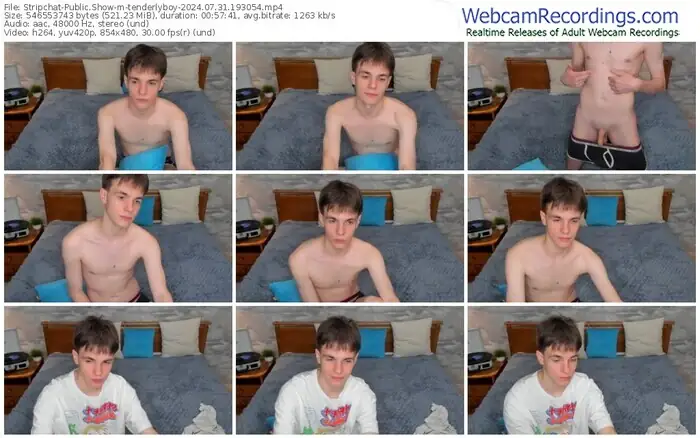 2024/07/31/stripchat-tenderlyboy-19-30-54