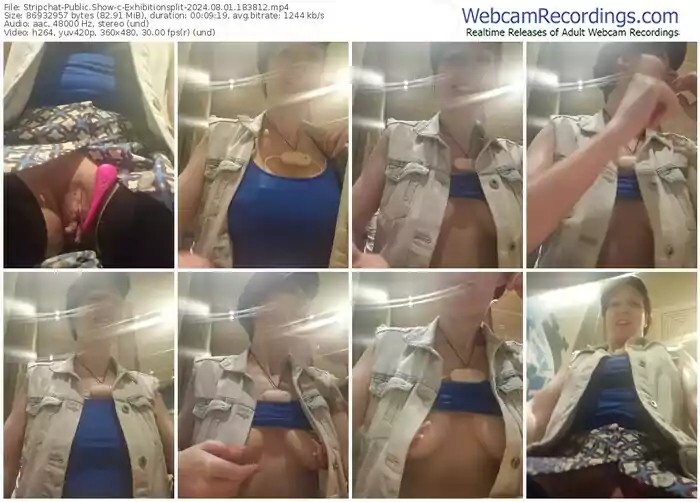 2024/08/01/stripchat-exhibitionsplit-18-38-12