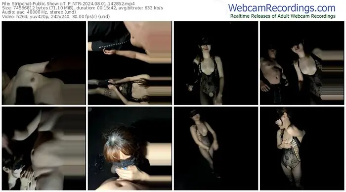 2024/08/01/stripchat-t_p_ntr-14-28-52