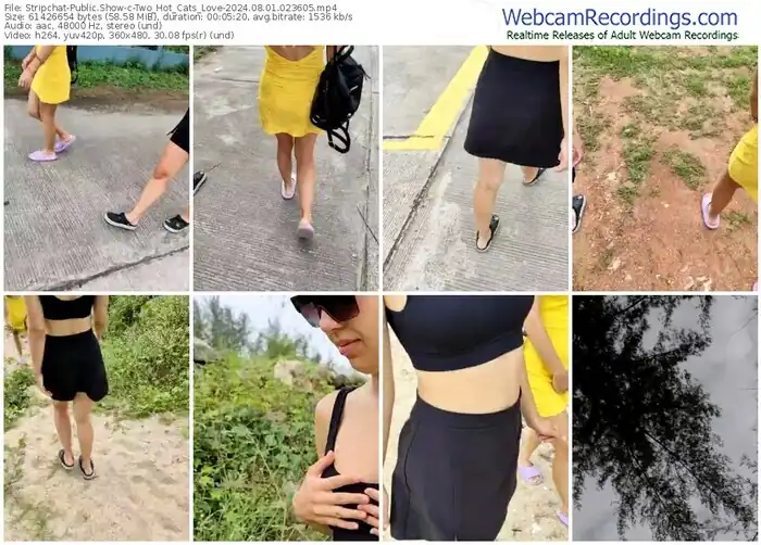 2024/08/01/stripchat-two_hot_cats_love-02-36-05