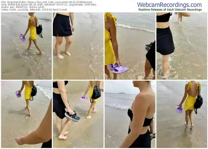 2024/08/01/stripchat-two_hot_cats_love-03-38-49