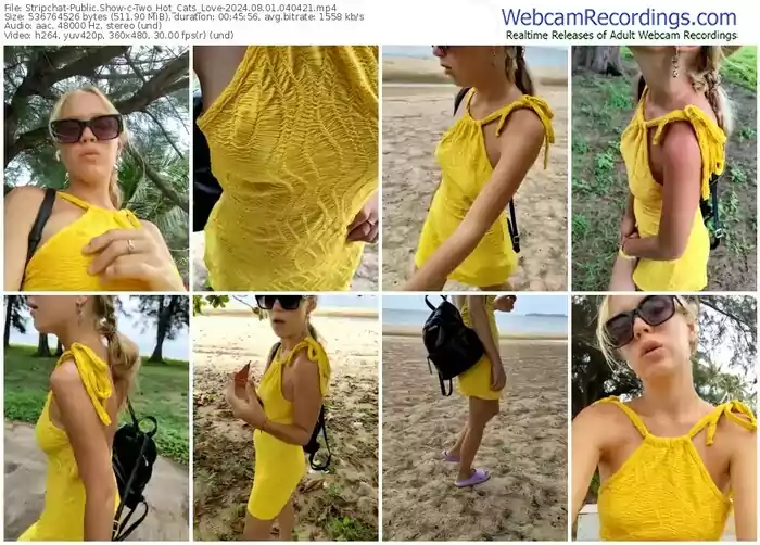 2024/08/01/stripchat-two_hot_cats_love-04-04-21