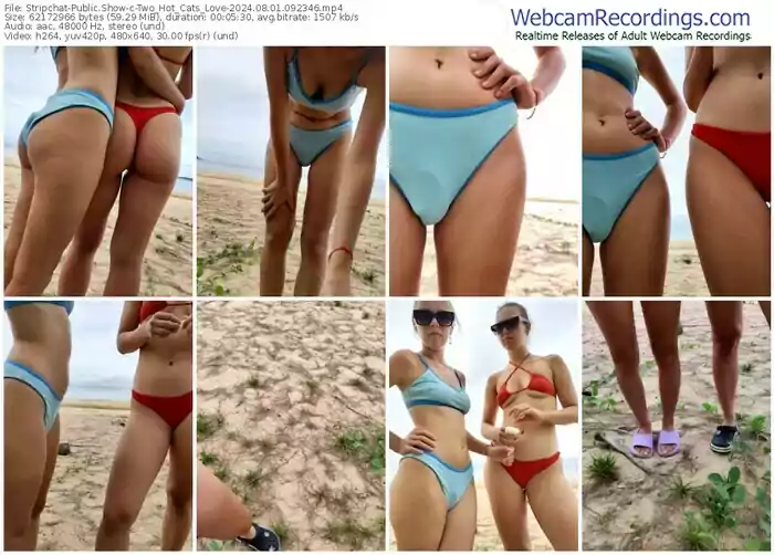 2024/08/01/stripchat-two_hot_cats_love-09-23-46