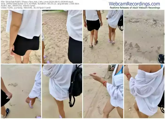 2024/08/01/stripchat-two_hot_cats_love-09-34-40