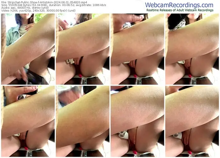 2024/08/01/stripchat-artistann-05-48-20