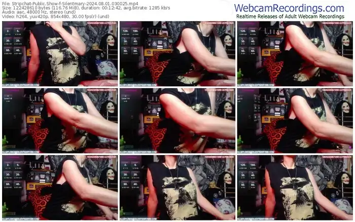 2024/08/01/stripchat-silentmary-03-00-25