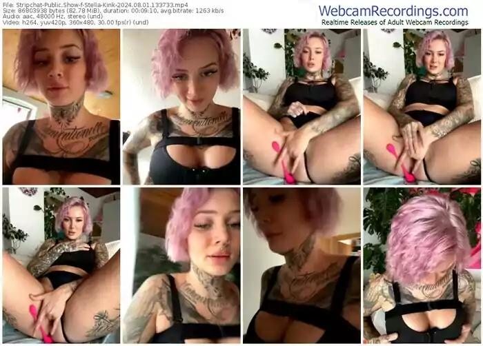 2024/08/01/stripchat-stella-kink-13-37-33