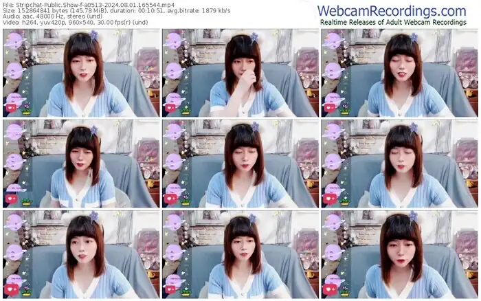 2024/08/01/stripchat-a0513-16-55-44