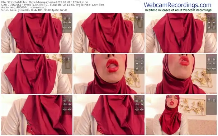 2024/08/01/stripchat-hanajameela-11-59-49