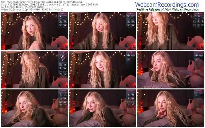2024/08/01/stripchat-morphesoull-00-05-40