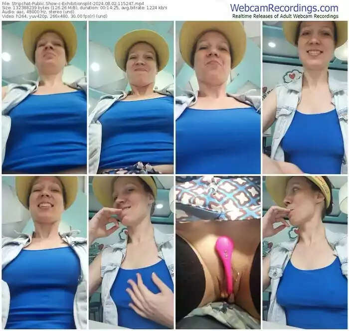 2024/08/02/stripchat-exhibitionsplit-11-52-47