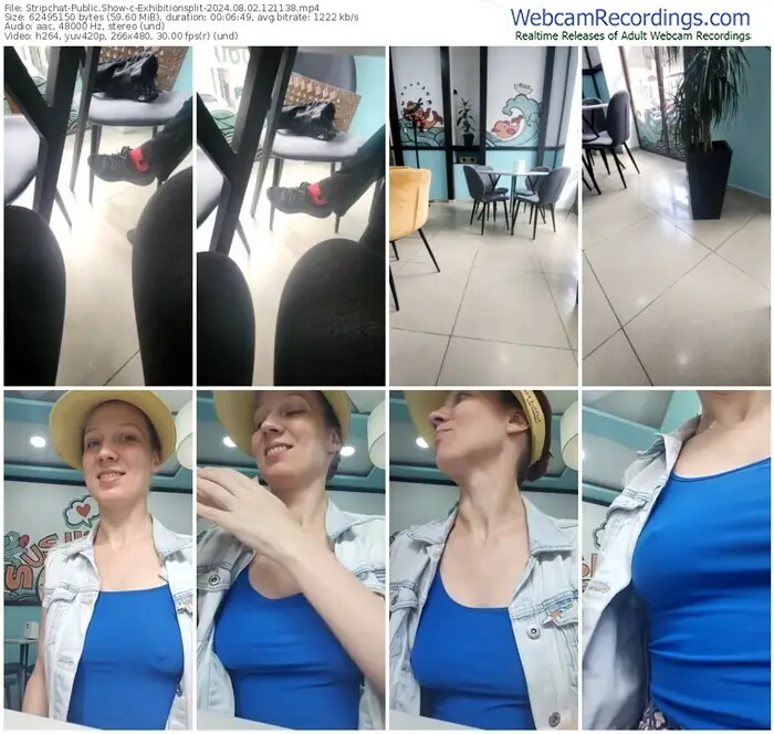 2024/08/02/stripchat-exhibitionsplit-12-11-38